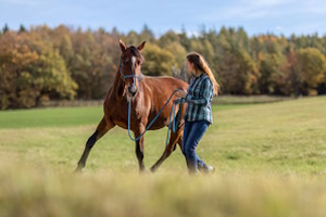 Ein Bild einer Frau mit einem Pferd auf einer Weide